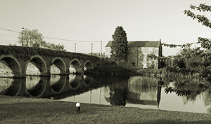 Goresbridge, Co Kilkenny. photo James Burke